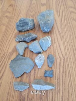 Tête de cerf bleue/grise, effigie en pierre amérindienne, art rupestre, artefacts, outils