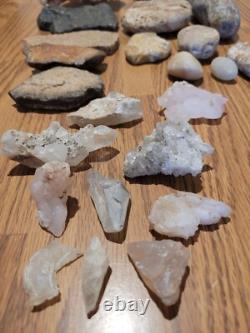 Tête de dinosaure, effigie en pierre des Indiens d'Amérique, art rupestre, artefacts, outils