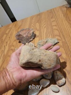 Tête de dinosaure, effigie en pierre des Indiens d'Amérique, art rupestre, artefacts, outils