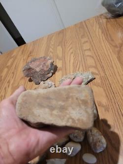 Tête de dinosaure, effigie en pierre des Indiens d'Amérique, art rupestre, artefacts, outils