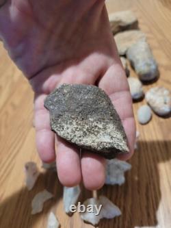 Tête de dinosaure, effigie en pierre des Indiens d'Amérique, art rupestre, artefacts, outils