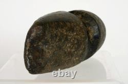 Tête de hache anasazi groovée du Sud-Ouest, artefact en pierre de l'homme préhistorique